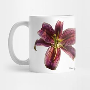 Stargazer Lily Mug